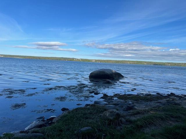 Lot #7 Cape Jellison Road Stockton Springs ME 04981