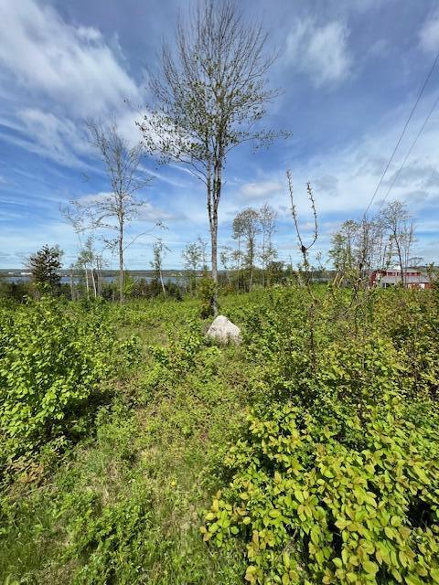 Lot #7 Cape Jellison Road Stockton Springs ME 04981