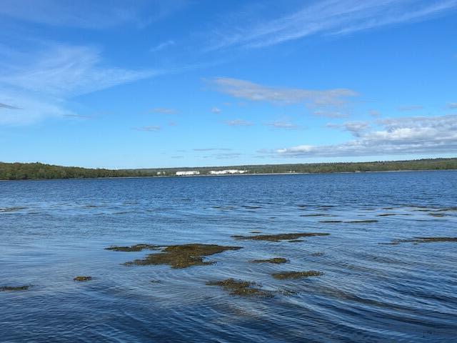 Lot #7 Cape Jellison Road Stockton Springs ME 04981