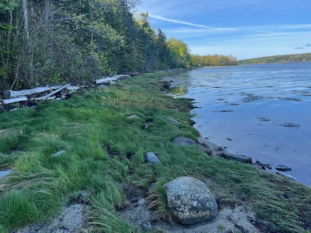 Lot #7 Cape Jellison Road Stockton Springs ME 04981