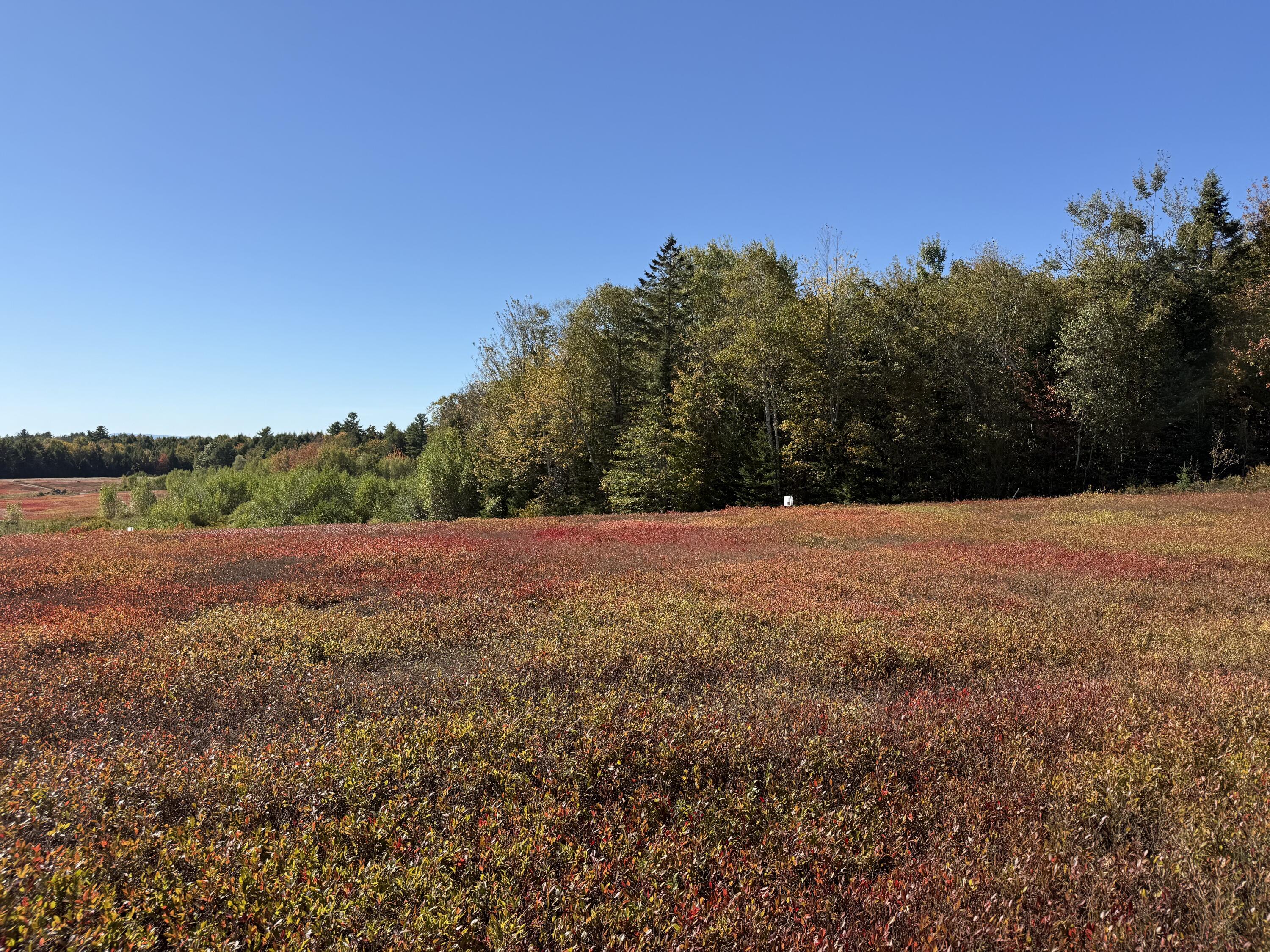 MAP19LOT28 Leach Road Penobscot ME 04476