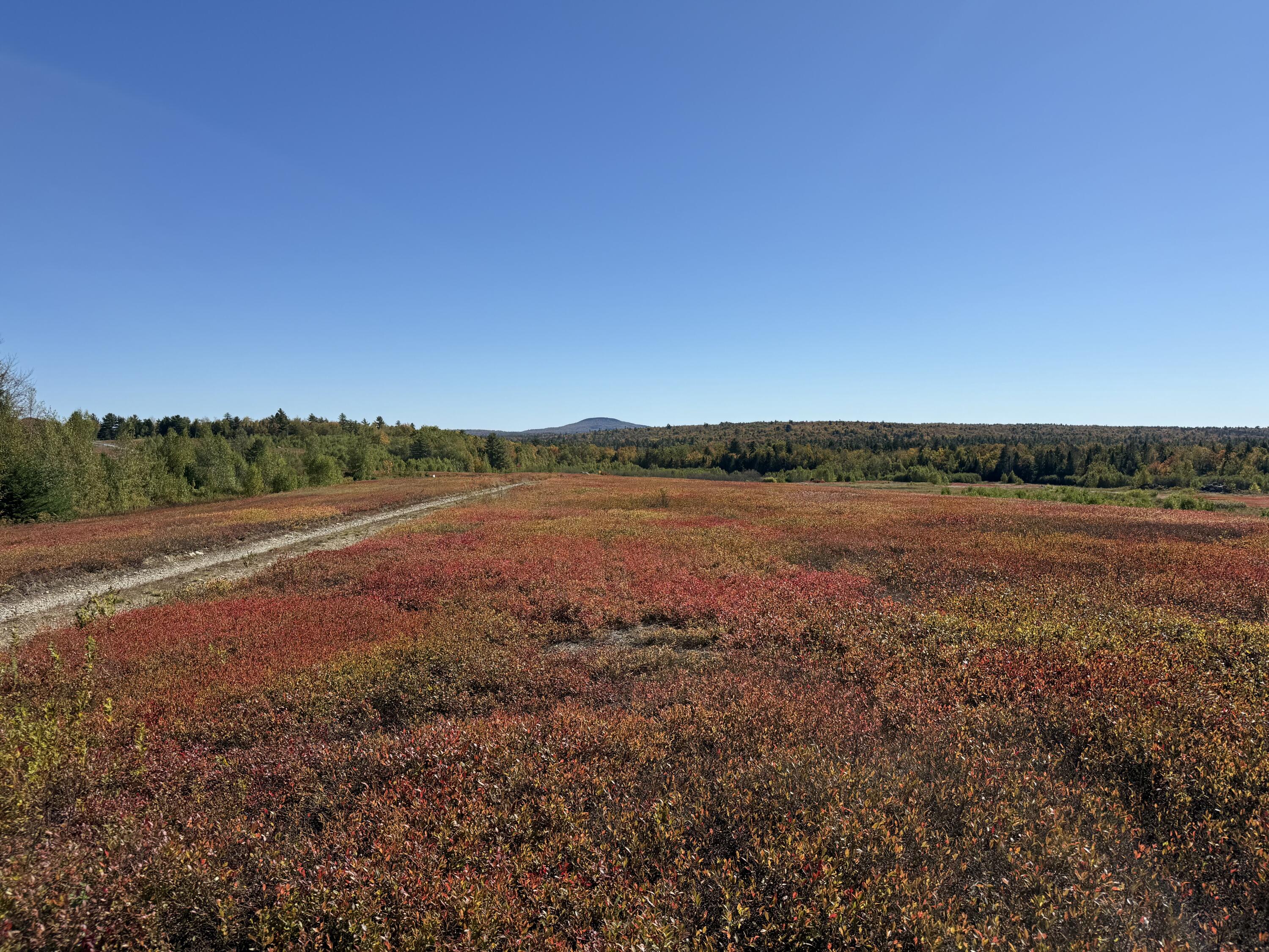 MAP19LOT28 Leach Road Penobscot ME 04476