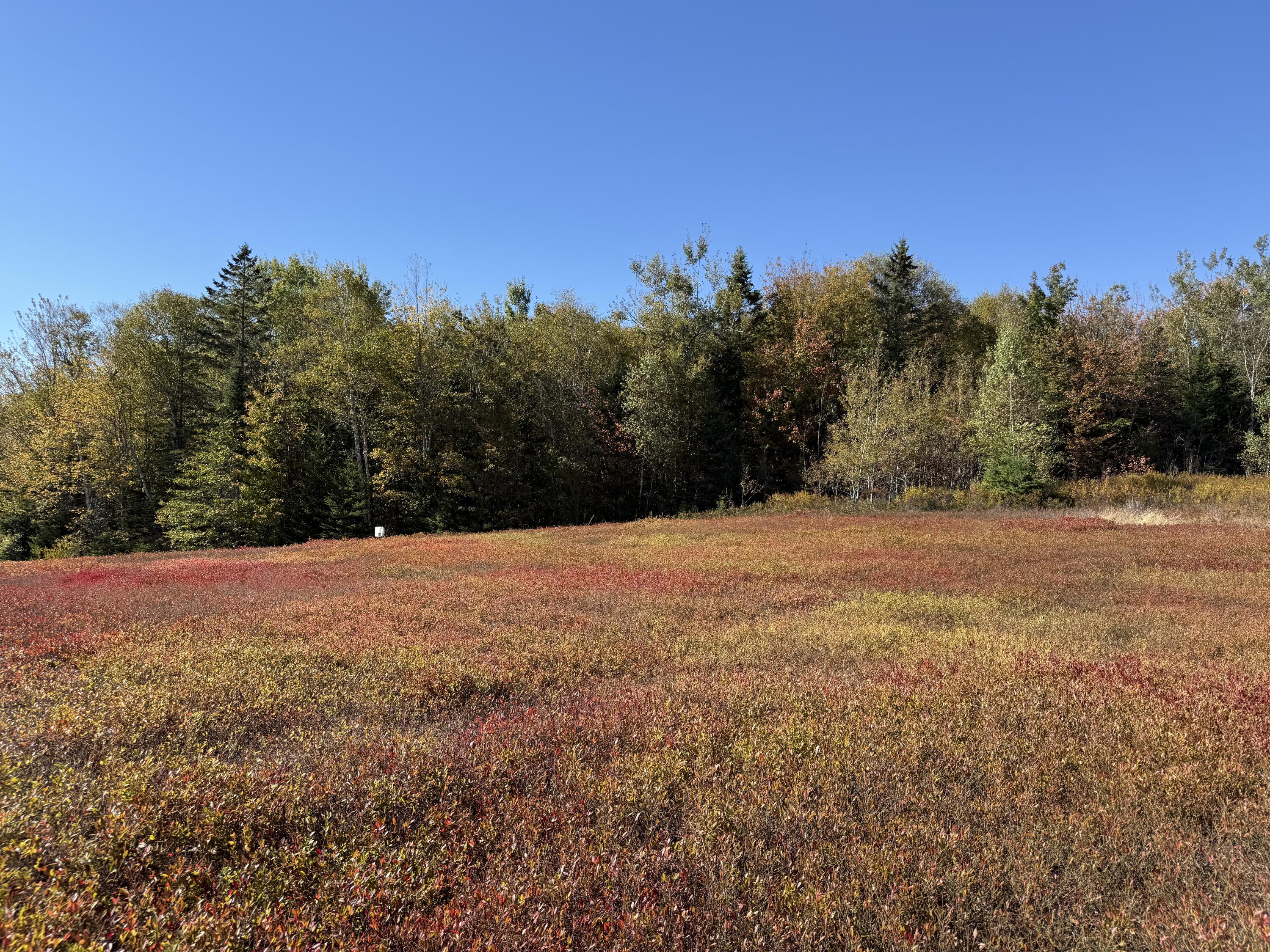 MAP19LOT28 Leach Road Penobscot ME 04476