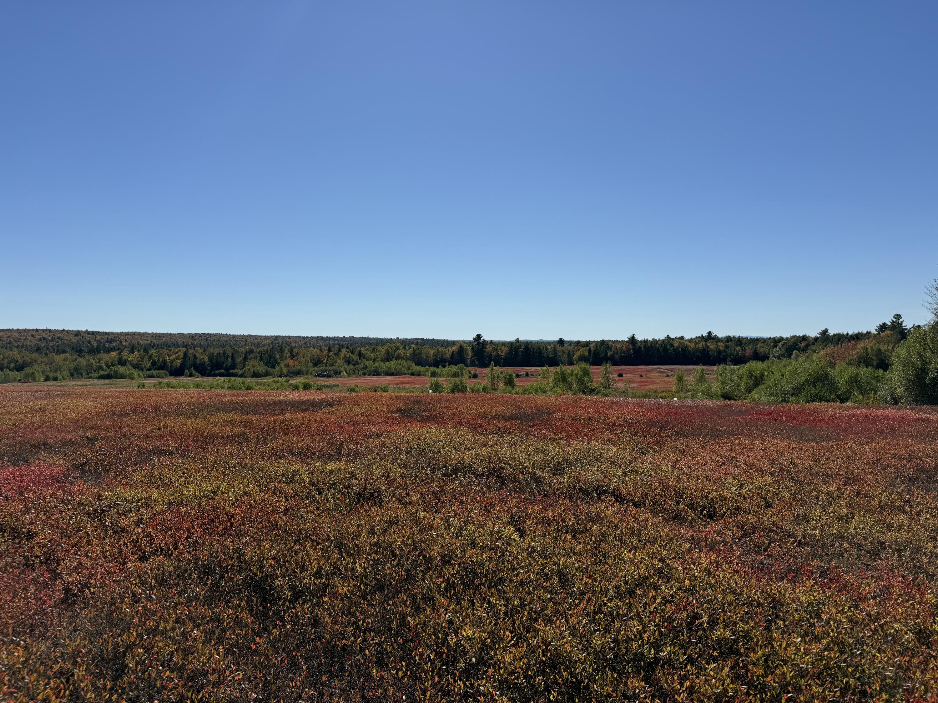 MAP19LOT28 Leach Road Penobscot ME 04476