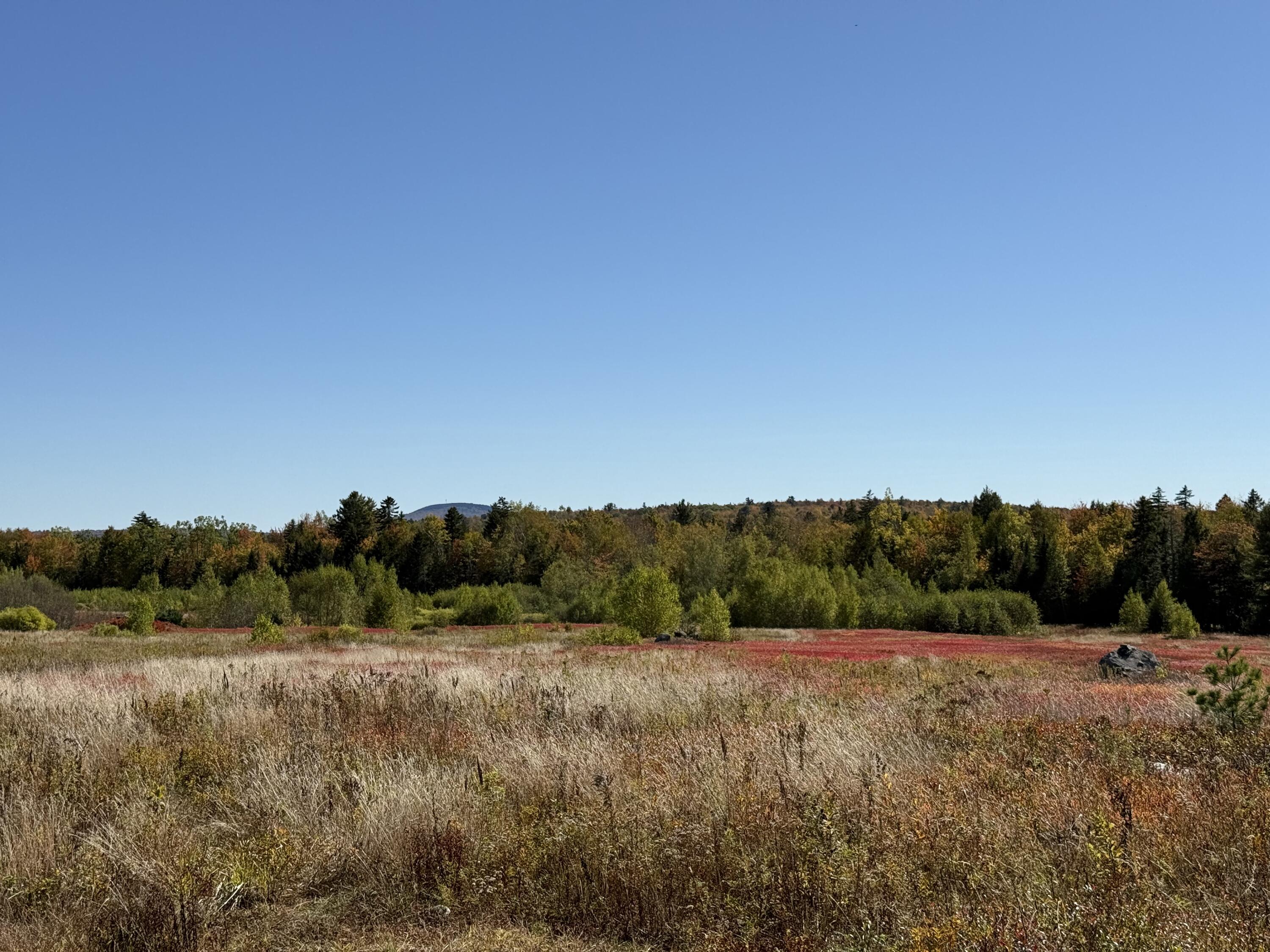 MAP19LOT28 Leach Road Penobscot ME 04476