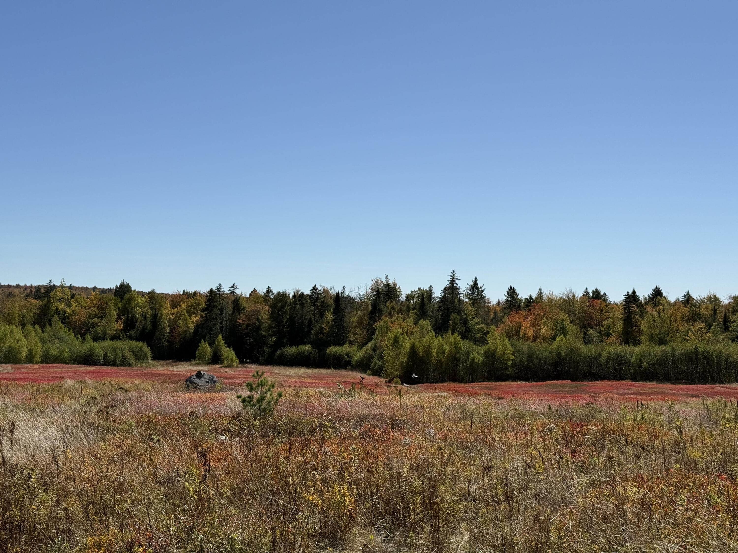 MAP19LOT28 Leach Road Penobscot ME 04476