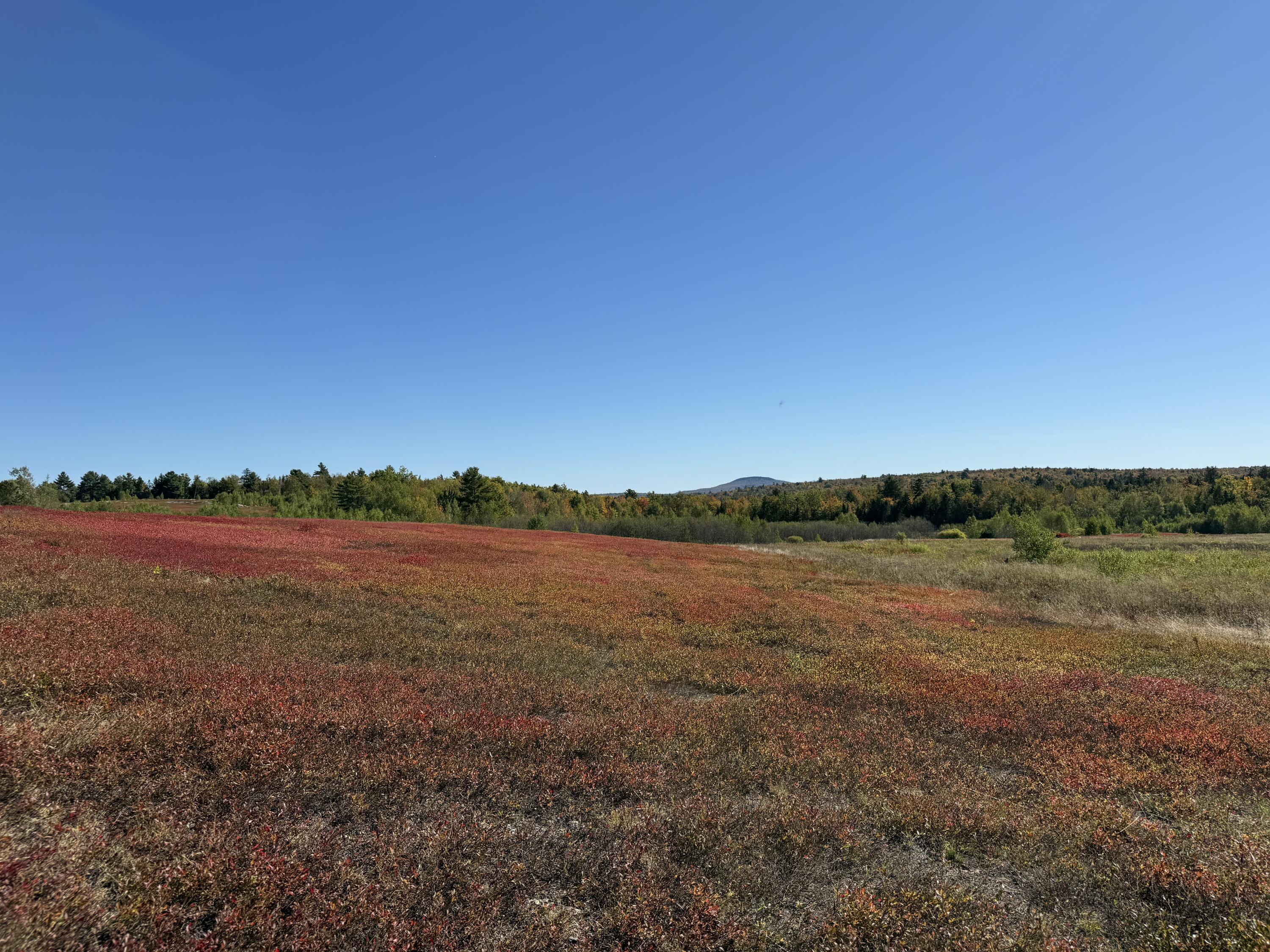 MAP19LOT28 Leach Road Penobscot ME 04476