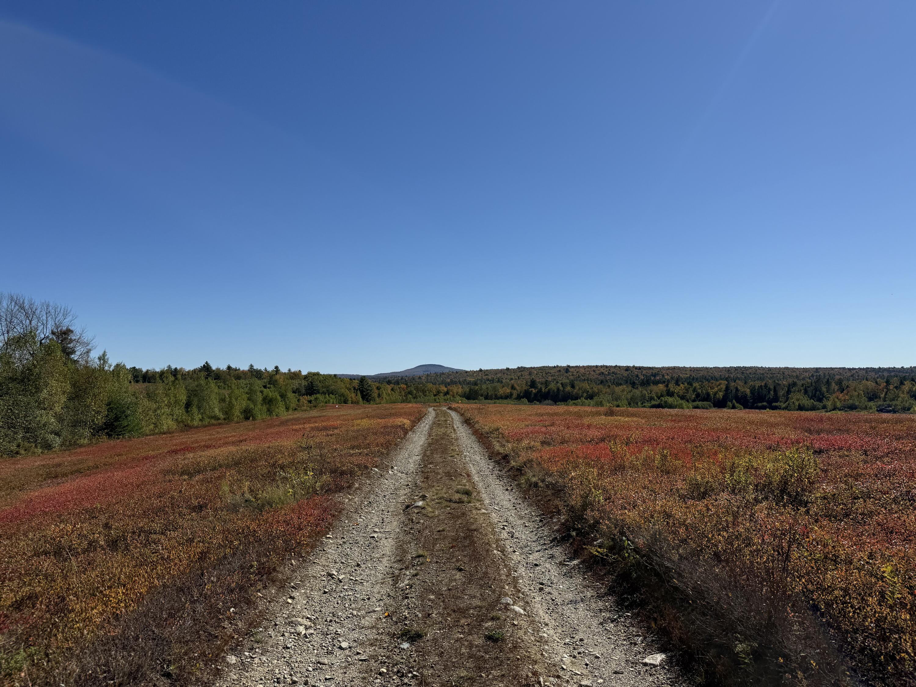 MAP19LOT28 Leach Road Penobscot ME 04476