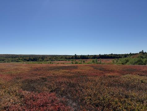 MAP19LOT28 Leach Road Penobscot ME 04476