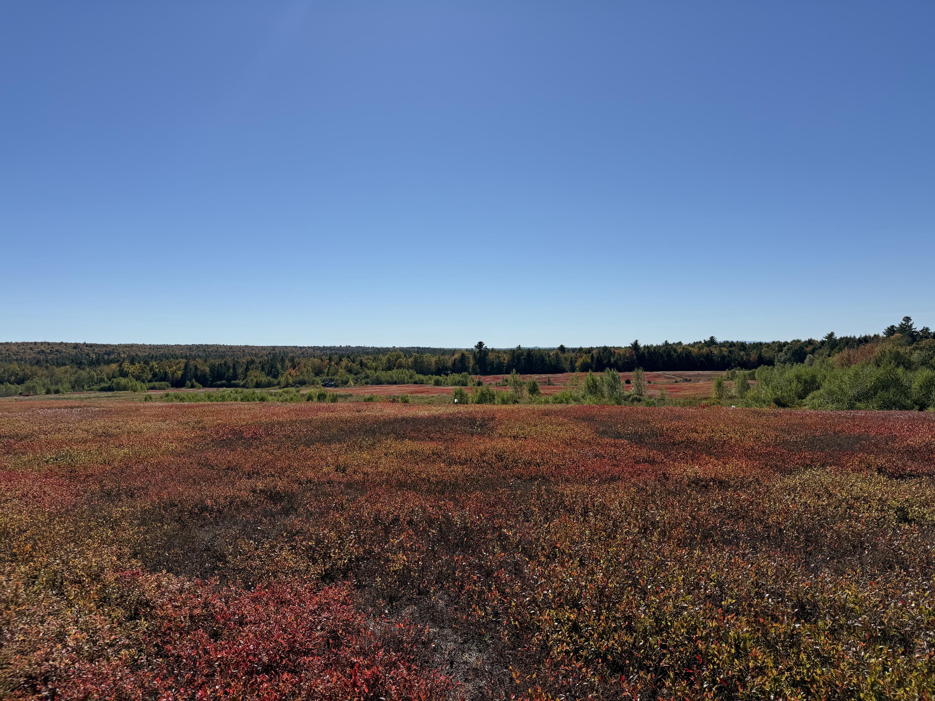 MAP19LOT28 Leach Road Penobscot ME 04476