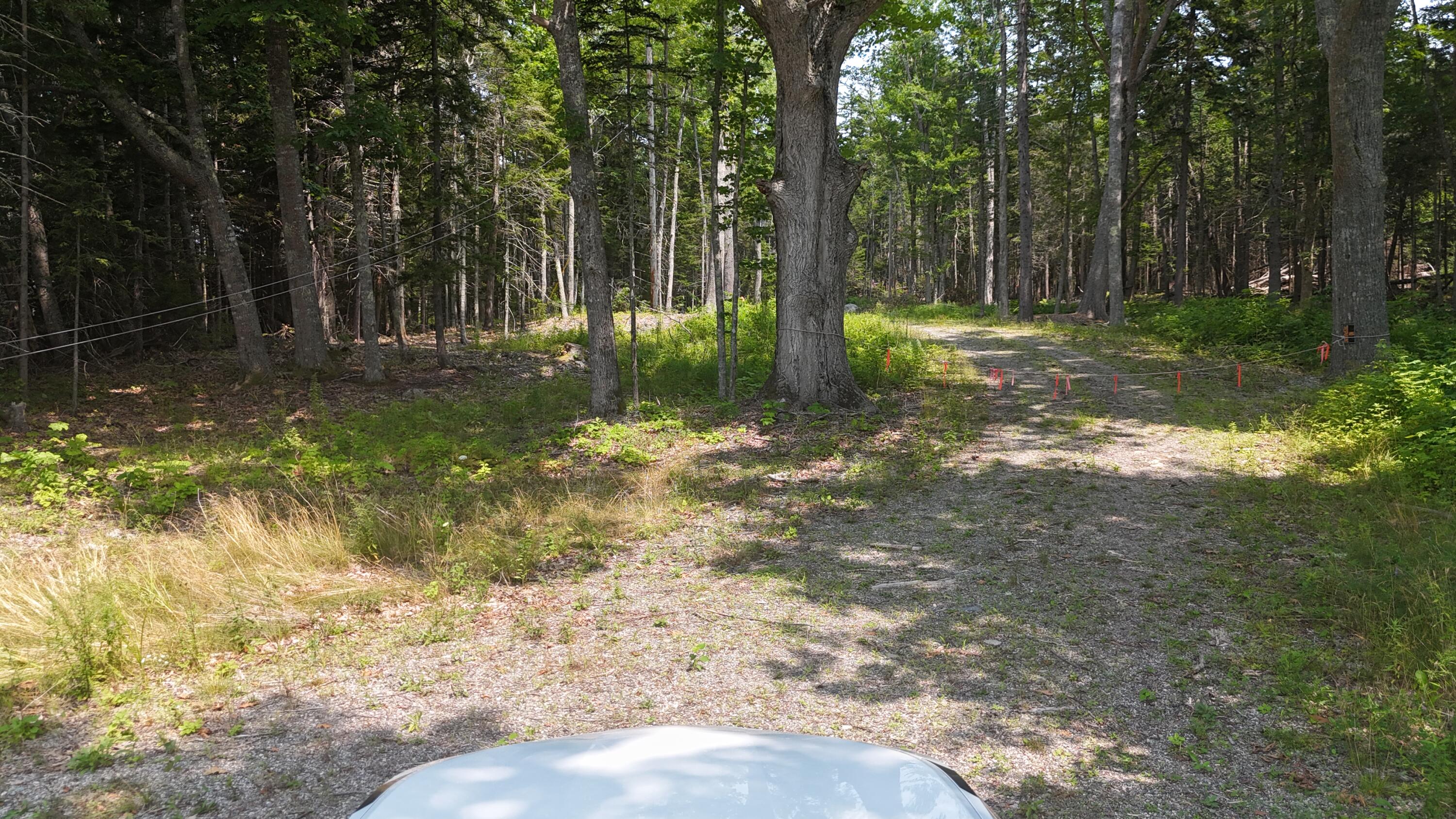 1920 Us Highway 1 Sullivan ME 04664