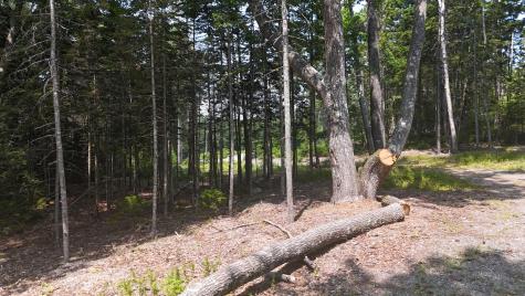 1920 Us Highway 1 Sullivan ME 04664