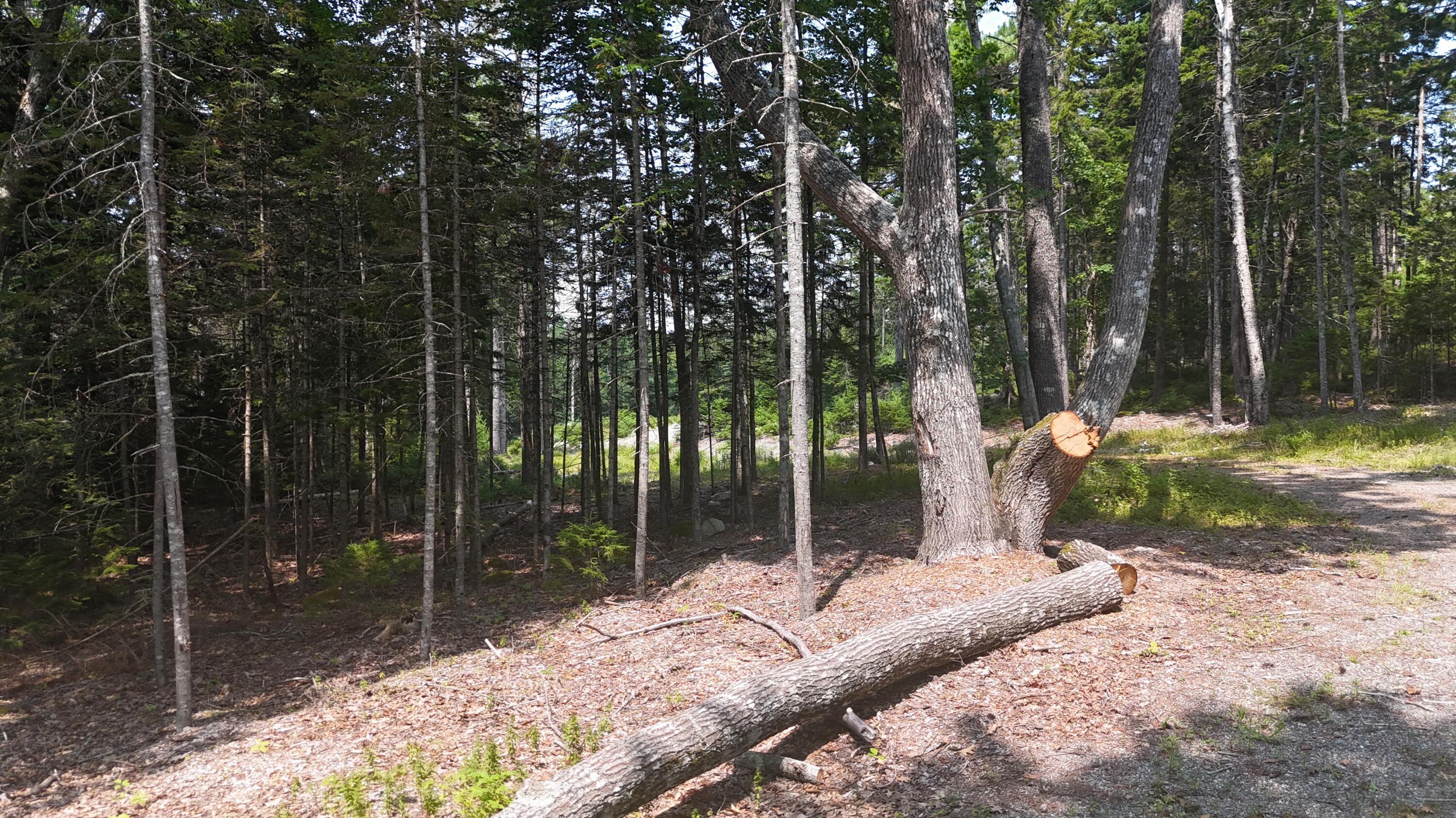 1920 Us Highway 1 Sullivan ME 04664