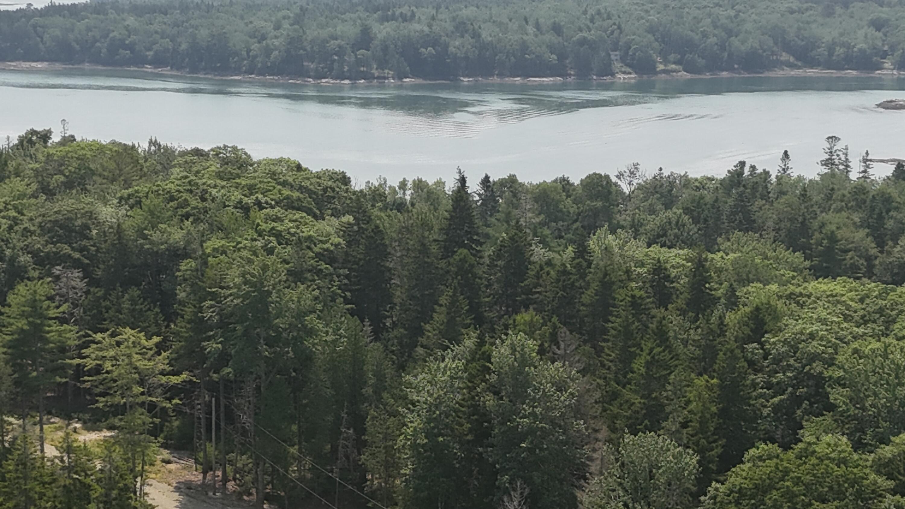 1920 Us Highway 1 Sullivan ME 04664