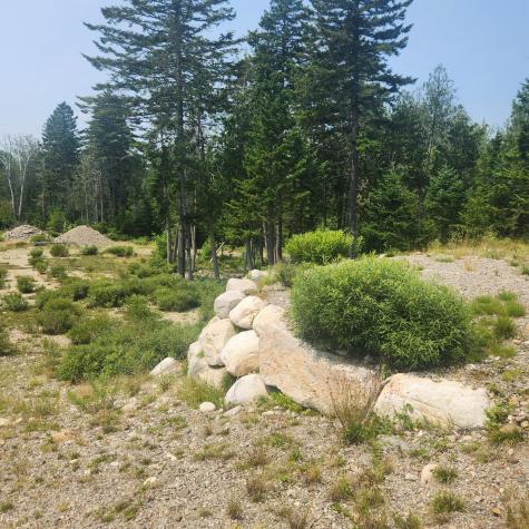 1920 Us Highway 1 Sullivan ME 04664