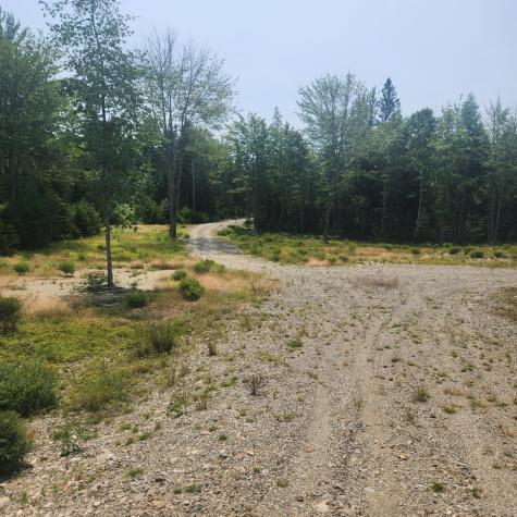 1920 Us Highway 1 Sullivan ME 04664