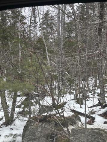 Map 109 Lot 16 Winkumpaugh Road Ellsworth ME 04605