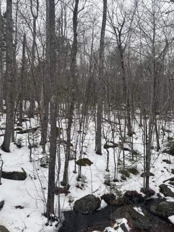 Map 109 Lot 16 Winkumpaugh Road Ellsworth ME 04605