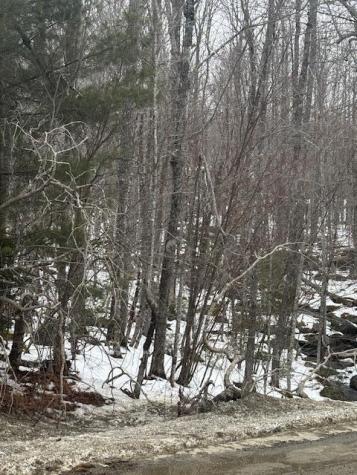 Map 109 Lot 16 Winkumpaugh Road Ellsworth ME 04605