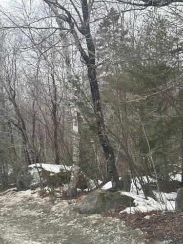 Map 109 Lot 16 Winkumpaugh Road Ellsworth ME 04605