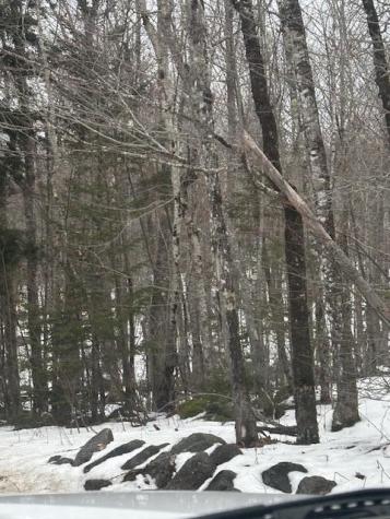 Map 109 Lot 16 Winkumpaugh Road Ellsworth ME 04605