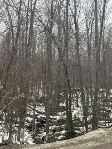 Map 109 Lot 16 Winkumpaugh Road Ellsworth ME 04605