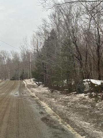 Map 109 Lot 16 Winkumpaugh Road Ellsworth ME 04605