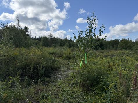 M34 L14a Hinckley Ridge Blue Hill ME 04614