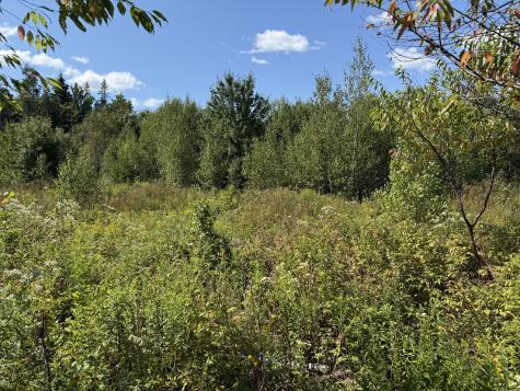 M34 L14a Hinckley Ridge Blue Hill ME 04614