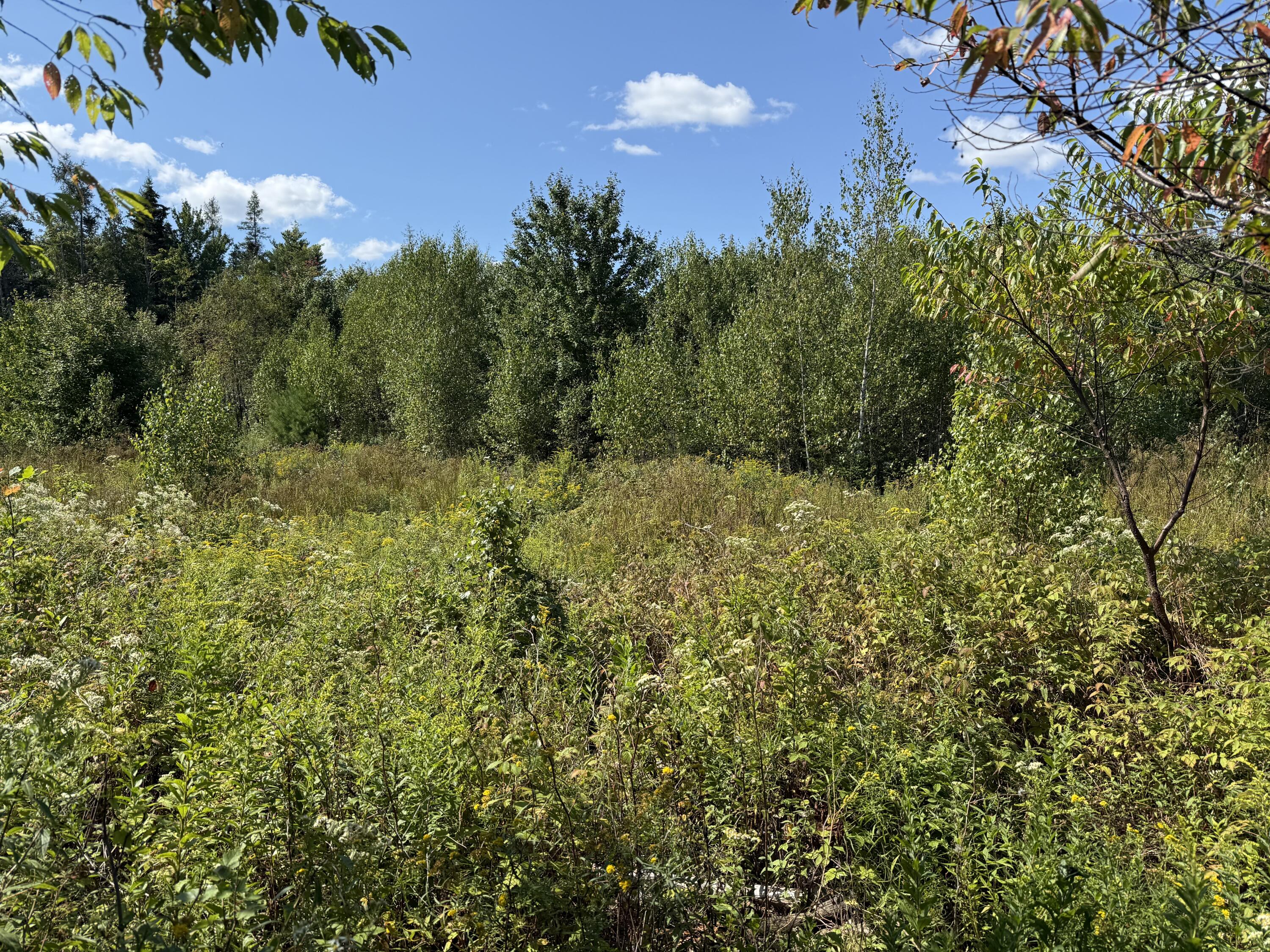 M34 L14a Hinckley Ridge Blue Hill ME 04614