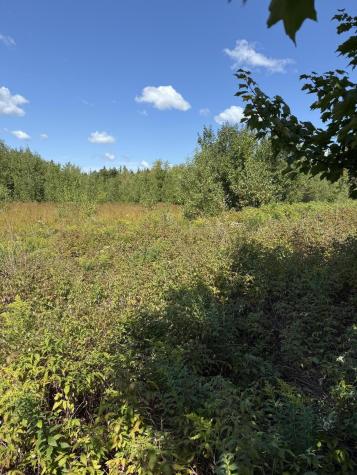 M34 L14a Hinckley Ridge Blue Hill ME 04614