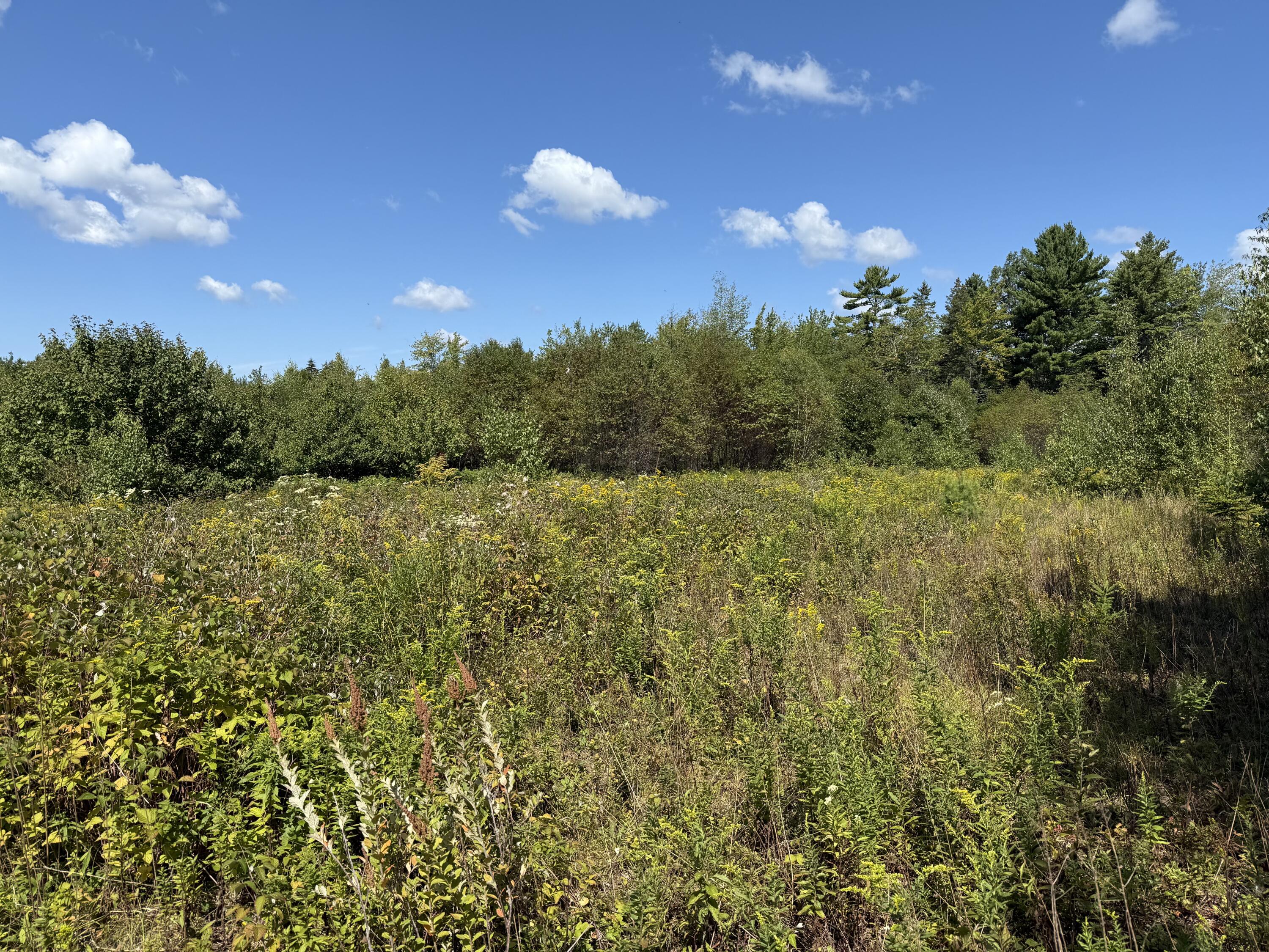 M34 L14a Hinckley Ridge Blue Hill ME 04614