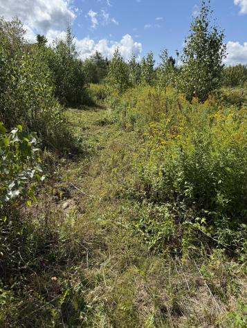 M34 L14a Hinckley Ridge Blue Hill ME 04614