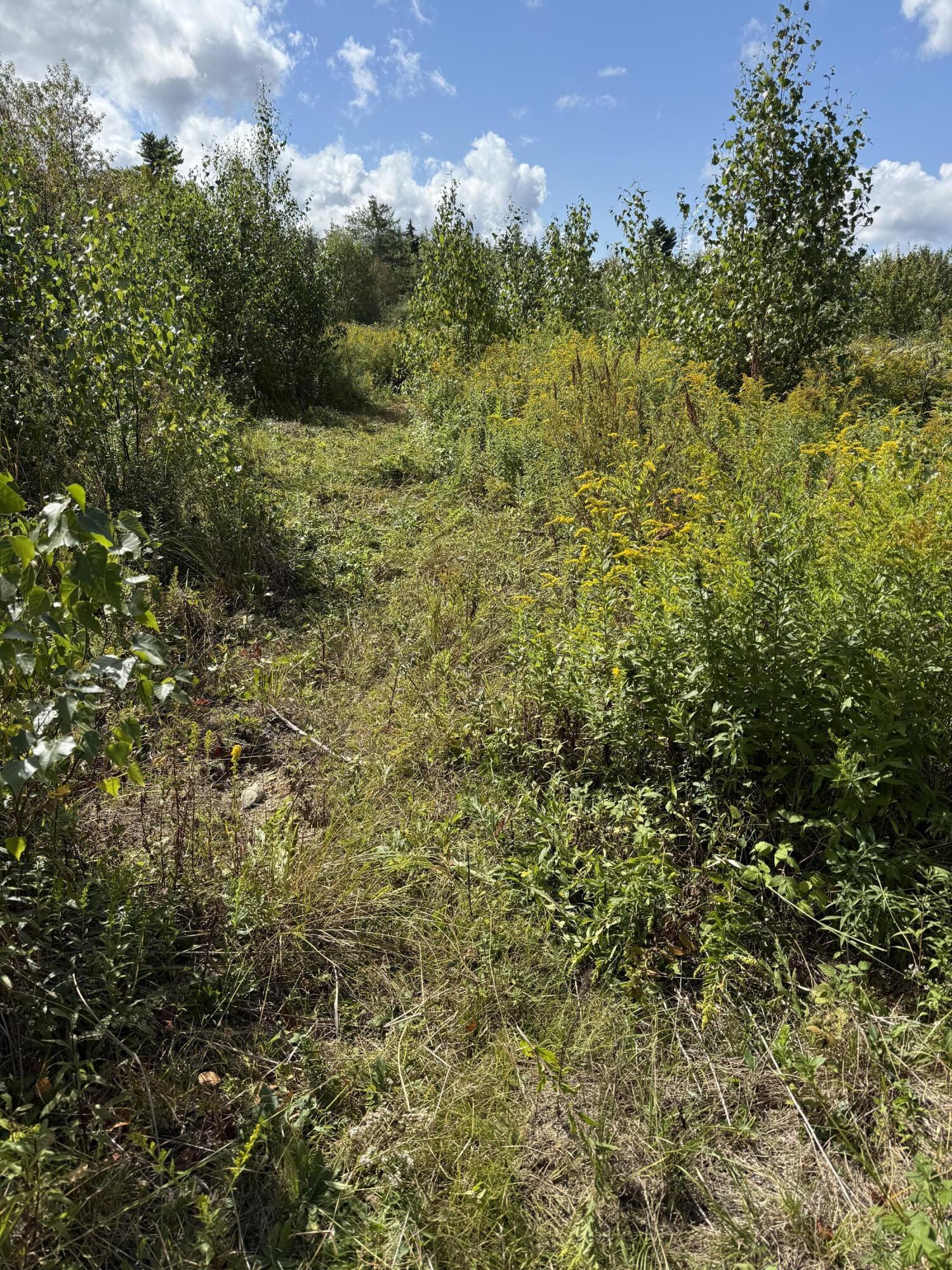 M34 L14a Hinckley Ridge Blue Hill ME 04614