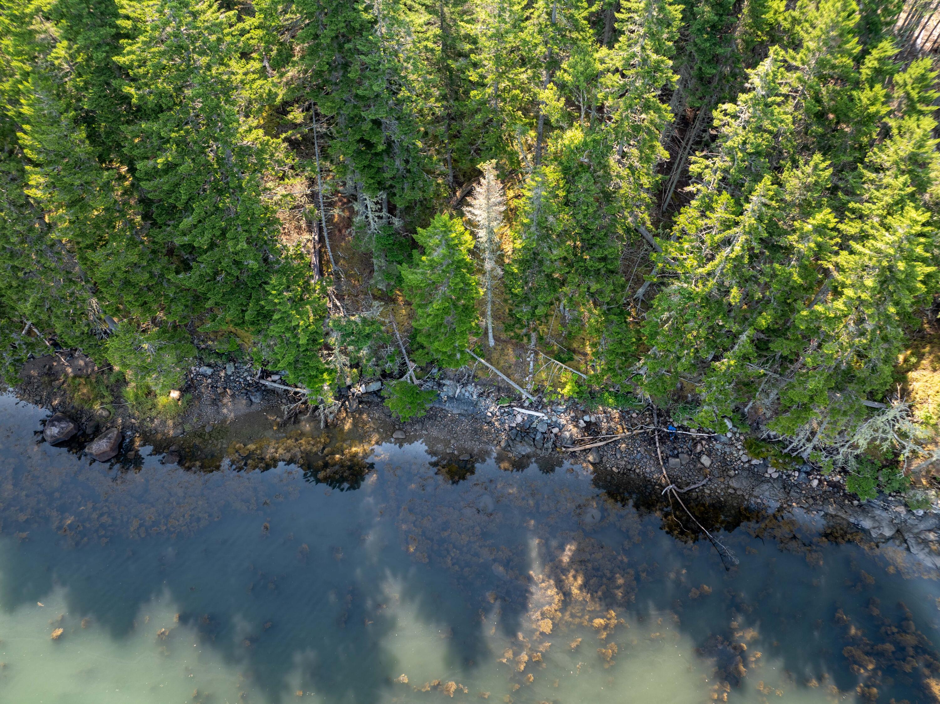 Lot #70 Chambers Point Road Roque Bluffs ME 04654