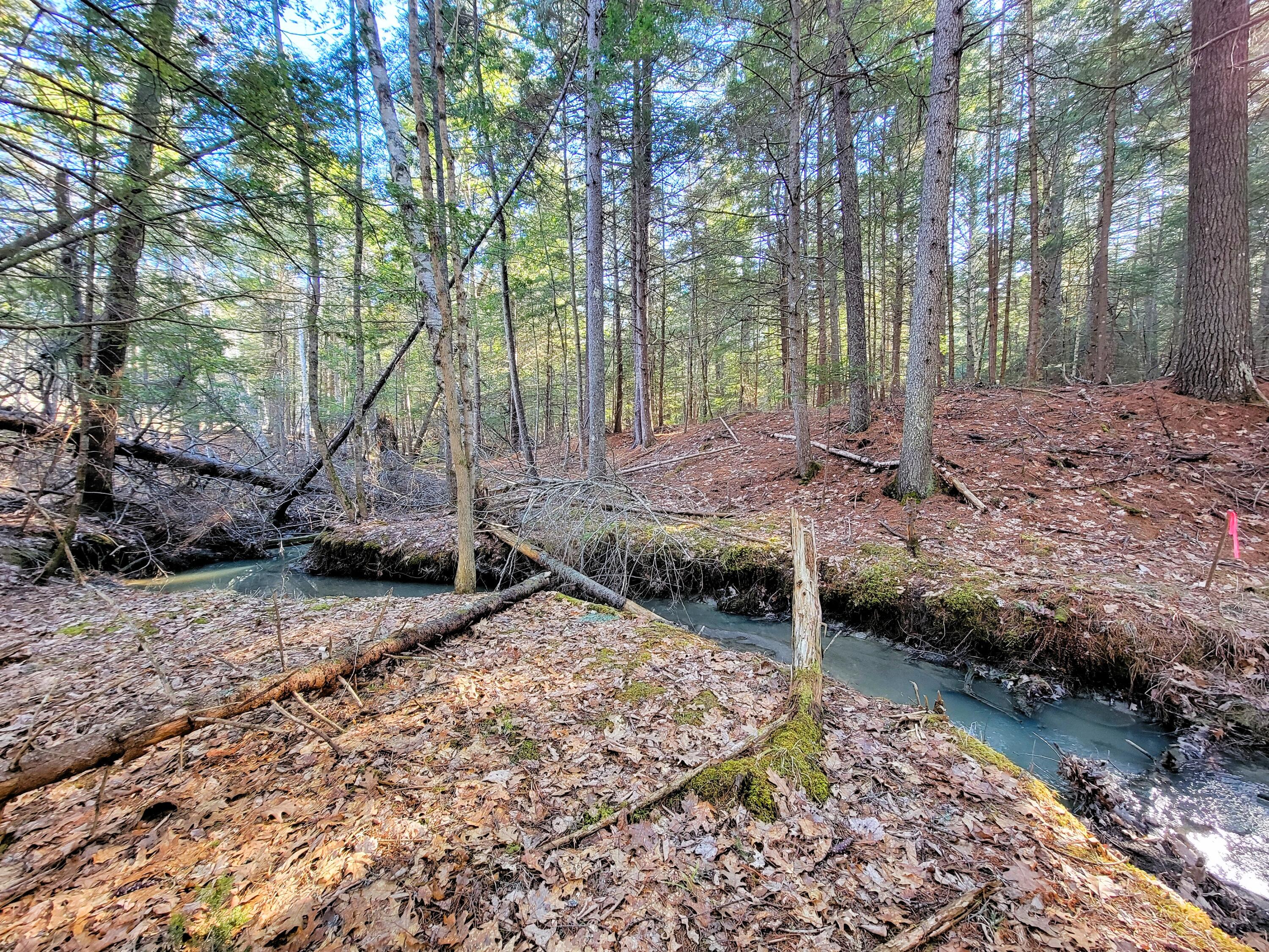 0 Redding Lane Freeport ME 04032
