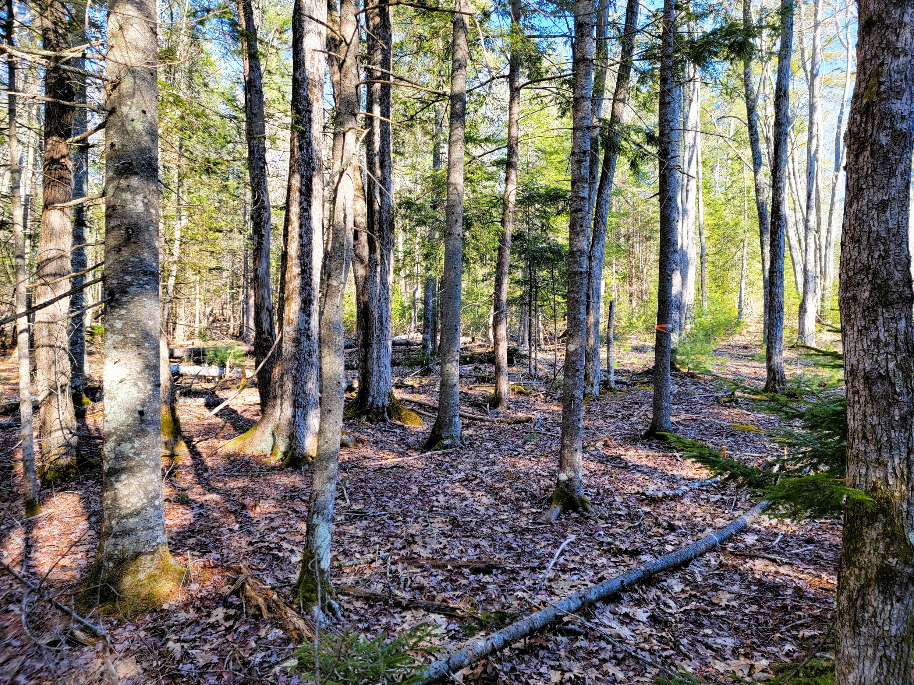 0 Redding Lane Freeport ME 04032