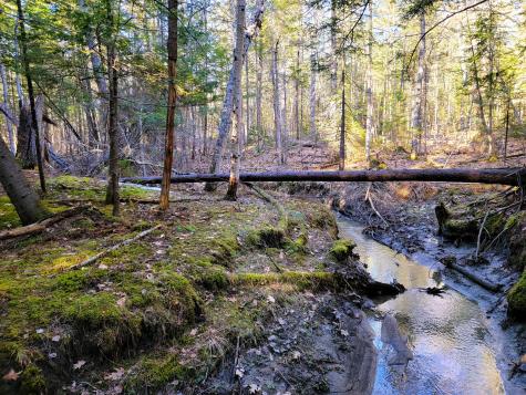 0 Redding Lane Freeport ME 04032