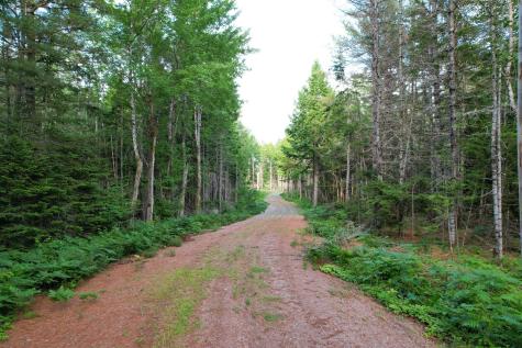 Lot 8 Peaceful Point Extension Road Waltham ME 04605