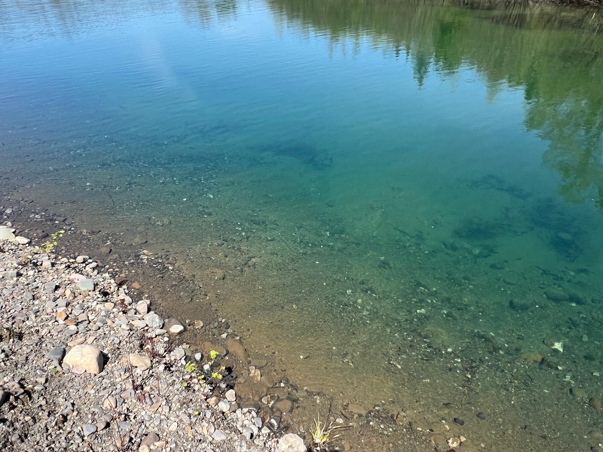 Map 9 Lots 18-1 & 34-1 Gravel Pit Road Sangerville ME 04479