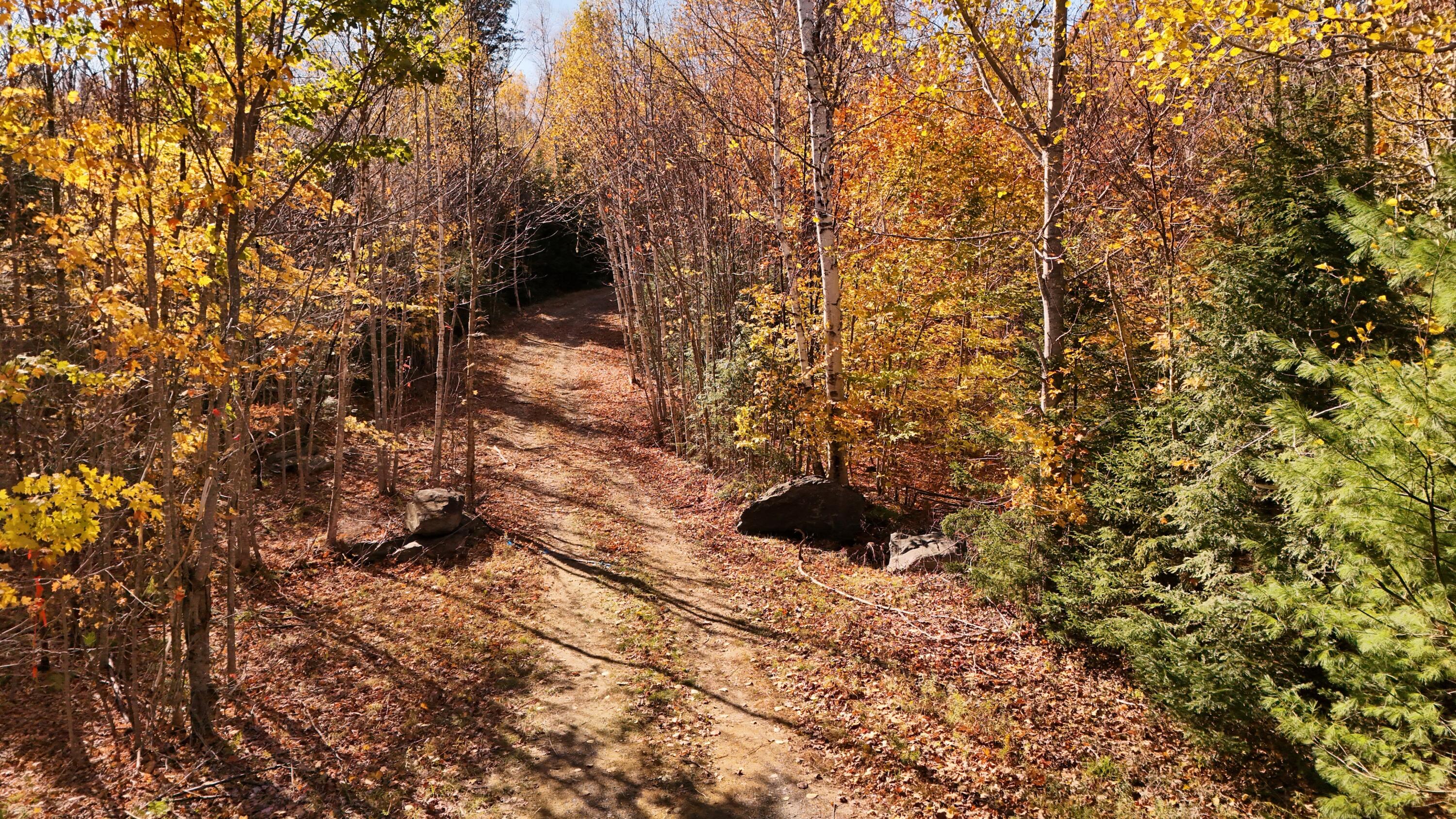 Lot 6 Crafts Road Greenville ME 04441