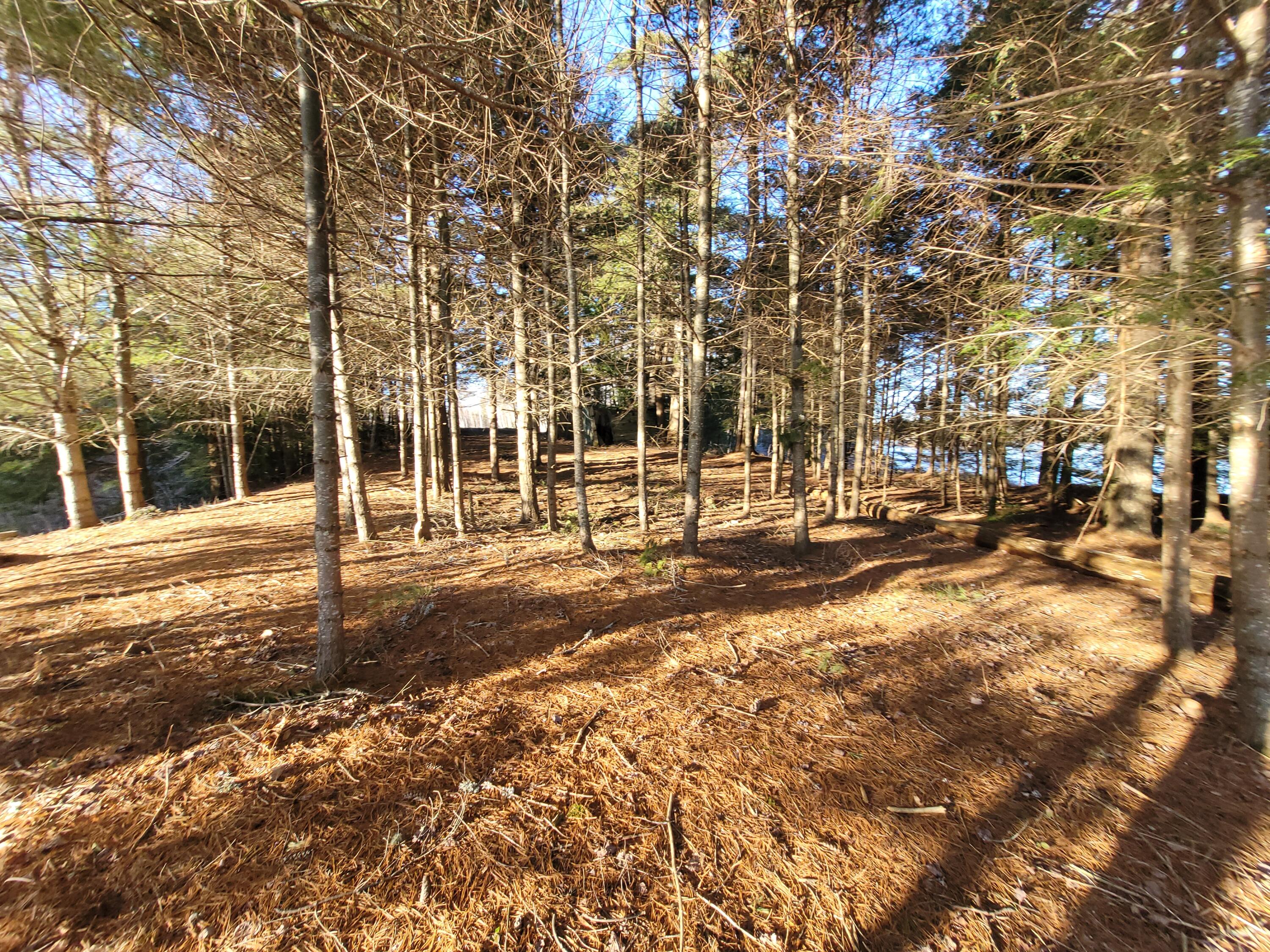 00 Middle Pond Road Clifton ME 04428