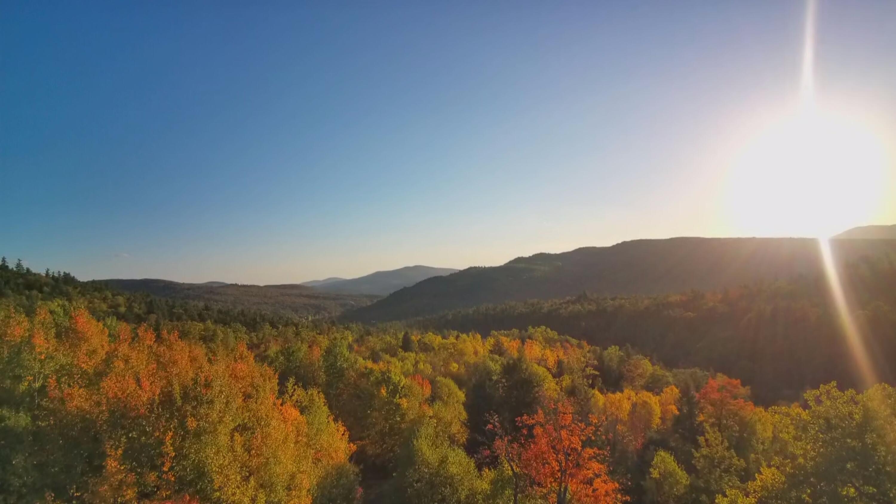 018 Bear Lane Rumford ME 04276
