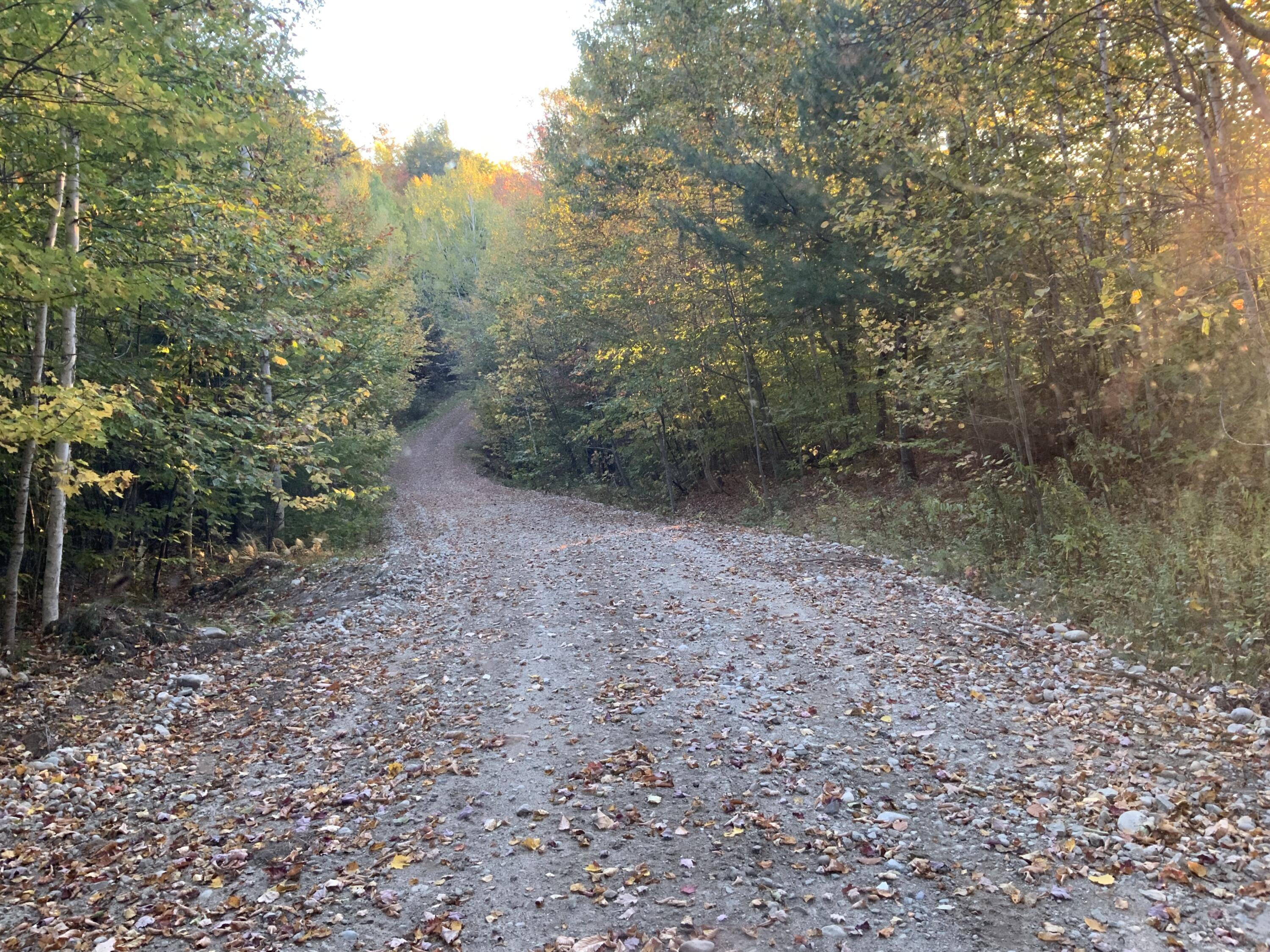 018 Bear Lane Rumford ME 04276