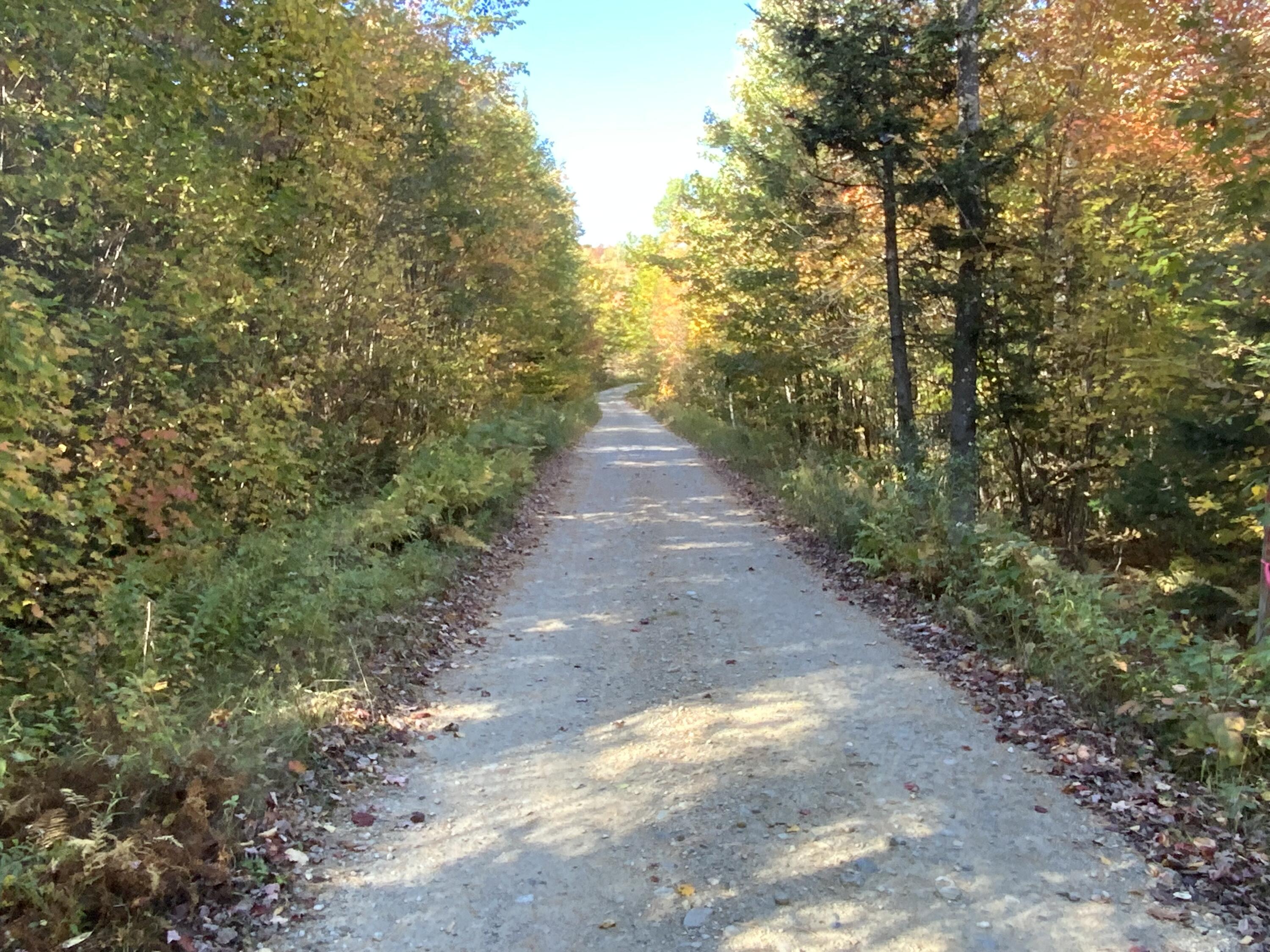 018 Bear Lane Rumford ME 04276