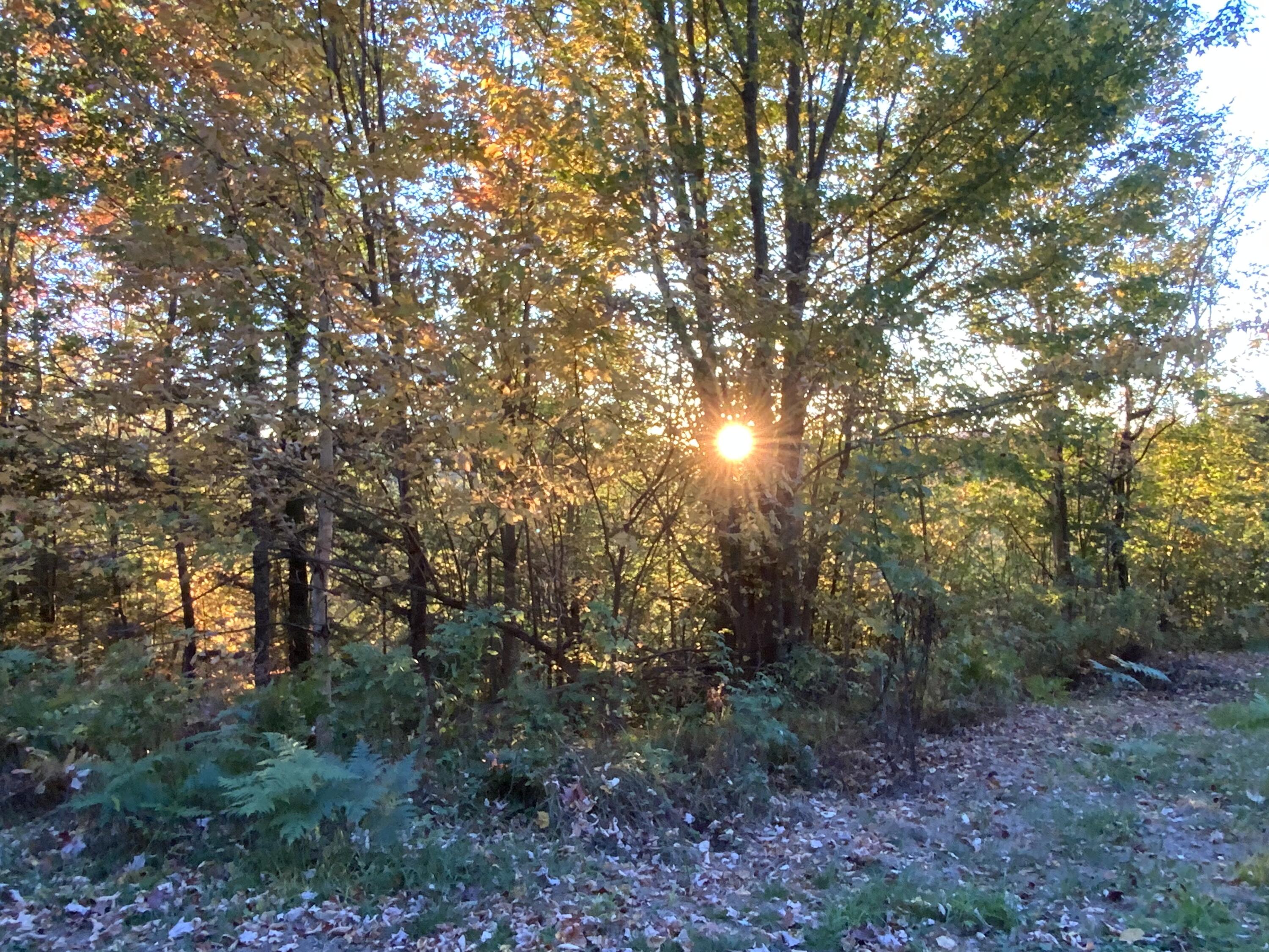 018 Bear Lane Rumford ME 04276