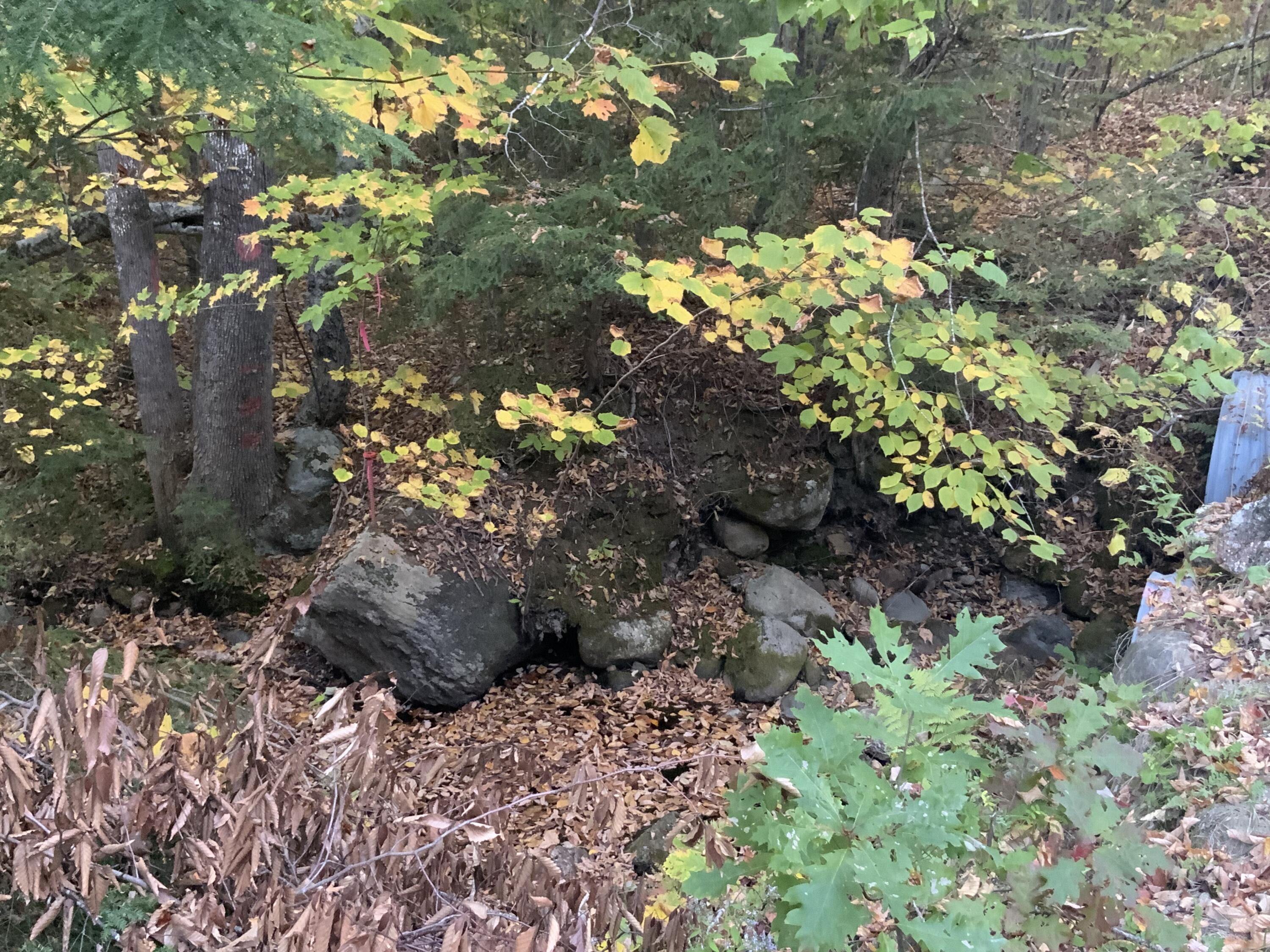 018 Bear Lane Rumford ME 04276