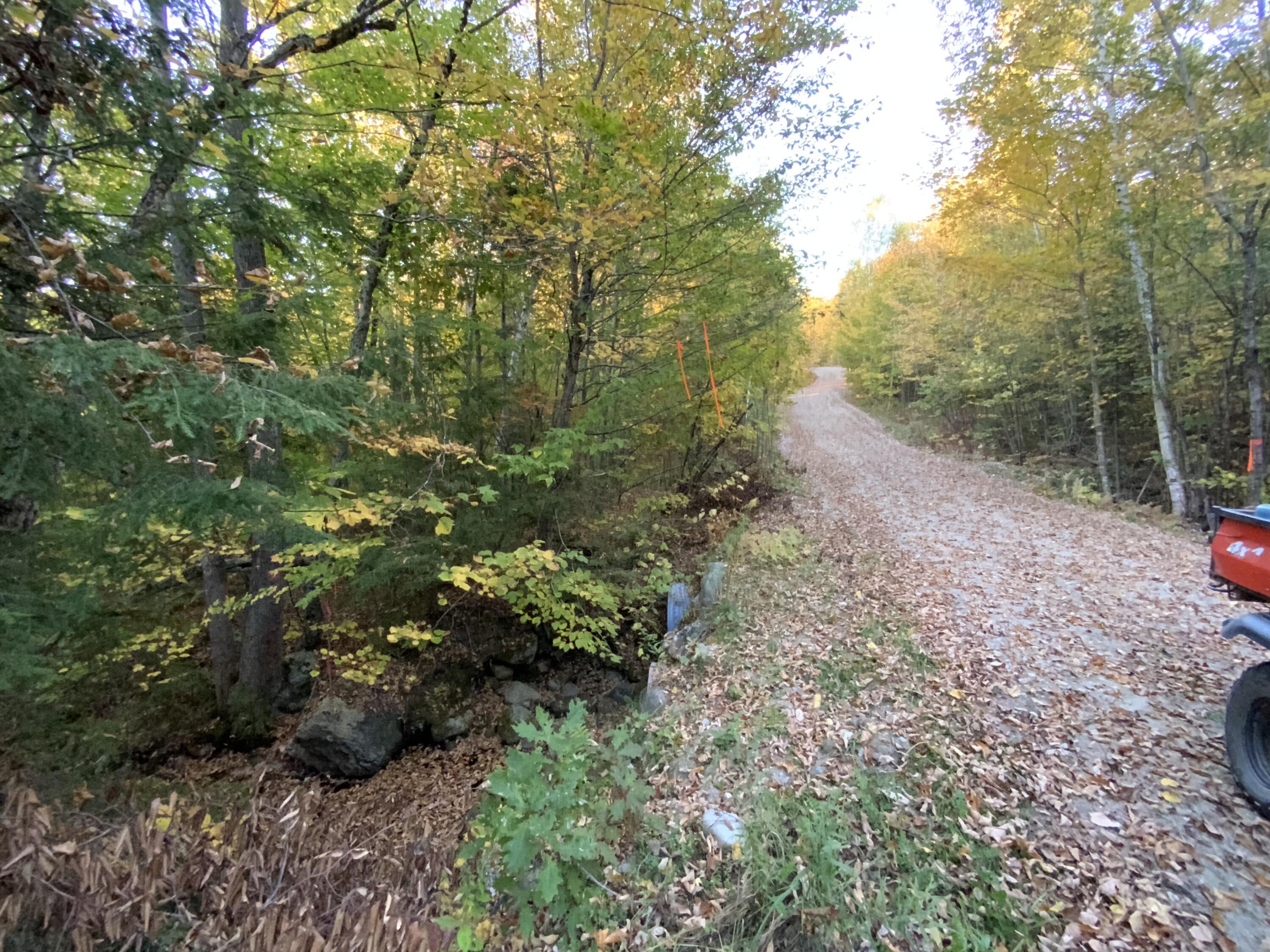 018 Bear Lane Rumford ME 04276