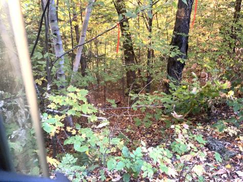 018 Bear Lane Rumford ME 04276