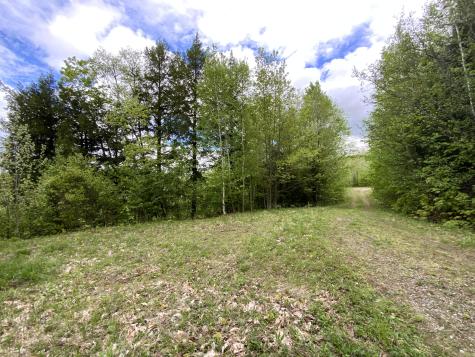 018 Bear Lane Rumford ME 04276